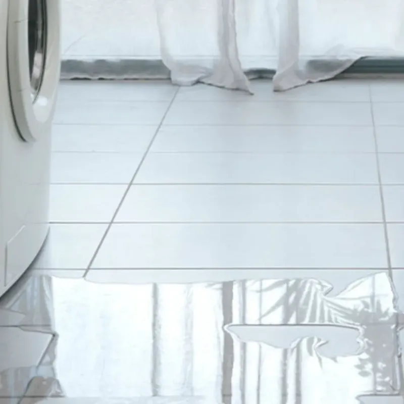 Appliance Leak Cleanup in Gainesville, VA
