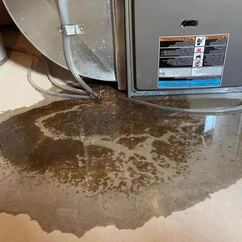 Pipe Burst and Leak Restoration in Gainesville, VA